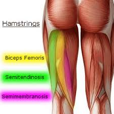The muscles that make up the quadriceps are the strongest and leanest of all muscles in the body. Knee Pain Caused By A Hamstring Injury Wayne Nj High Mountain Orthopedics