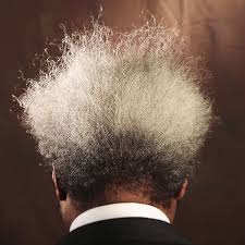 'the king is back' this don is surely elusive, elegant & can drool. Let Us Now Raze Famous Men The Friars Club Roast Of Don King Sports Illustrated