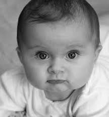 The New York Society for the Prevention of Cruelty to Children