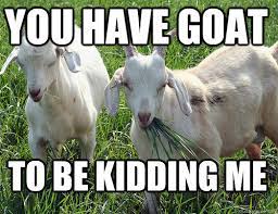 Goat Jokes Things Just Goat Serious Really Bad Goat Jokes