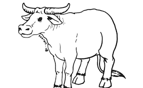 Check spelling or type a new query. 50 Mewarnai Gambar Binatang Qurban Terbaik Lingkar Png