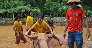 Kedung kandang ini juga merupakan kecamatan tertua di malang. Mengenal Dunia Ternak Di D Kandang Amazing Farm Wisata Pulau Jawa