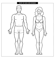 The right curves with tiny shoulders but voluptuous hips. Male Female Body Outline Stock Illustrations 9 414 Male Female Body Outline Stock Illustrations Vectors Clipart Dreamstime
