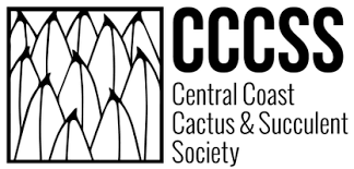 Cactus & succulent society of south australia inc. Central Coast Cactus Succuent Society Show Sale Kcbx