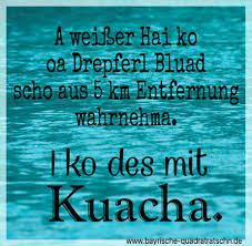 A Guade Nosn Hoid Bayrische Spruche Bayerische Spruche Witzige Spruche