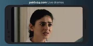 Download Pakistani live tv channels-pak24tv.com android