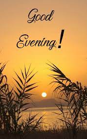 Pin By Ekta On Good Evening Afternoon Good Morning Beautiful Images Good Night Love Images Good Morning Images