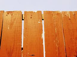 Check spelling or type a new query. How To Hide An Ugly Fence Guide Pro Tips Ideas Install It Direct