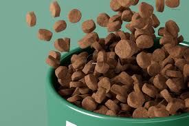 Download Pet Bowl Mockup Set On Behance