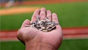 Get latest info on sunflower seeds, suppliers, manufacturers, wholesalers, traders, wholesale suppliers with sunflower seeds prices for buying. Best Sunflower Seeds Top 9 Best Sunflower Seed Brands Flavors