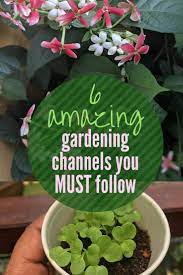 Check spelling or type a new query. 6 Best Home Gardening Youtube Channels From India That You Must Follow