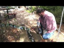 Check spelling or type a new query. Upgrade Your Garden With Your Used Wine Bottles