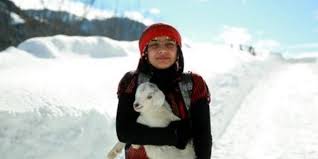 Turkiye Nin Heidi Si Veteriner Hekim Olmak Istiyor Memurlar Net