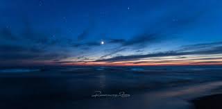 600 meter kust kleurde rood. 5 Fotolocaties Om Zeevonk Te Fotograferen Zoom Academy Blog