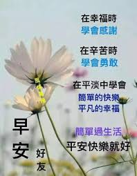 pin by jasmine lee on 早安花 good morning quotes morning quotes good morning wishes