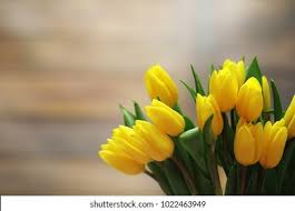 Target.com has been visited by 1m+ users in the past month Bouquet Yellow Tulips Vase On Floor Stock Photo Edit Now 1022463949