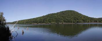 Another 115 acres preserved!