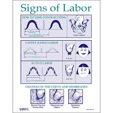 Time Free Charts And Diagrams