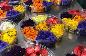 Check spelling or type a new query. Edible Flower Market Blossoms In The Uk Produce Business Uk