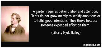 Liberty Hyde Bailey Famous Quotes Intentions Sayings