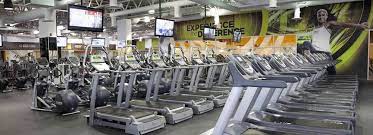 Buy home gym fitness equipments like treadmillmachine, elliptical, multi gym, exercise cycle, benches, weights dumbbells & plates, massager etc.gym online in india. Fitness World Office Photos Glassdoor