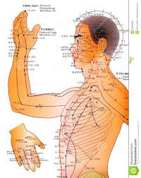 Acupuncture Chart Alternative Medicine Editorial Stock