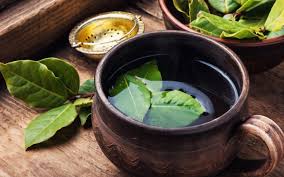 Frunzele de dafin sunt folosite în medicina alternativă din timpuri străvechi. Ceai De Dafin Divahair Ro