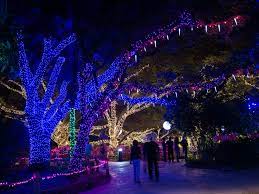 Best Holiday Lights Contest Features Houston Area Faves Vote Now Culturemap Houston