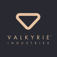 More buying choices $20.24 (30 used & new offers) kindle Valkyrie Industries Linkedin