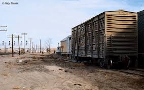 The Cattle Car Stock Car Stock Car Box Car Model Railroad