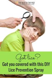 Natural Diy Lice Prevention Spray The Mom Of The Year