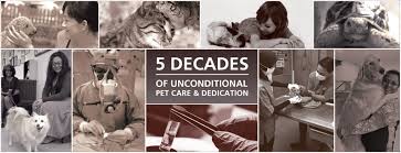 Welcome to animal medical center, lauderhill! Animal Medical Centre Kl Malaysia Home Facebook