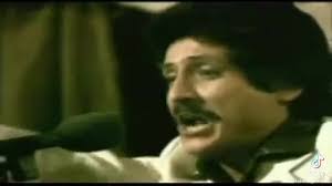 Leonor Cote's Instagram, Twitter & Facebook