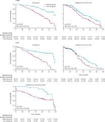 What is lung cancer, anyway? A Prognostic Model For Overall Survival Of Patients With Early Stage Non Small Cell Lung Cancer A Multicentre Retrospective Study The Lancet Digital Health