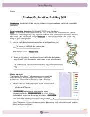 This page is about building dna gizmo answer key,contains 29 rna and protein synthesis gizmo worksheet answers,rnaproteinsynthesisse key,explorelearning gizmos review for teachers,gizmo worksheet answers and more. Building Dna Gizmo 1 1 Rtf Name Date Student Exploration Building Dna Vocabulary Double Helix Dna Enzyme Mutation Nitrogenous Base Nucleoside Course Hero
