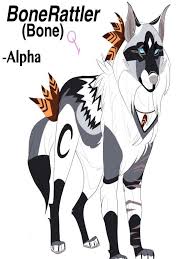 New Character For A Big Rp Im Hosting On Fcc I Love Her Fanart Yes Copy No General Name Bonerattle Birthname Bone Nicknam Fan Art People Art My Character