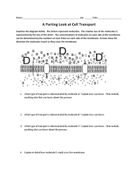 Material is moving from areas of high concentration to low, so all the cell does is provide an opening or channel through which to escape. A Parting Look At Cell Transport Worksheet For 7th 12th Grade Lesson Planet