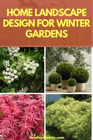 20 Home Landscape Design And Plants For Winter Gardens Winter Garden Garden Photography Winter Plants