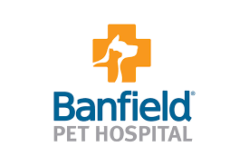 Over the time it has been ranked as high as 39 199 in the world, while most of its traffic comes from usa, where it reached as high as 6 750 position. 24 Hour Chat Service To Connect Pet Owners Veterinarians 2019 06 07 Pet Food Processing