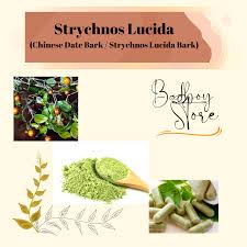 Image result for Strychnos lucens