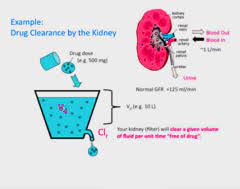 Excretion Rates Of Drugs Vary Greatly Depending Up Biology Questions Answers Sawaal