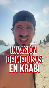 Príncipe El Señor Marcos En Español