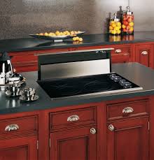 Sporting a stylish stainless steel body, this unit is built to last with minimum maintenance needs. Telescoping Downdraft Ventilation