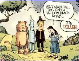 Wizard Of Oz Pollen Bizarro Comic Funny Comics Comics