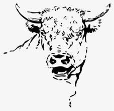 La vaca png cliparts, all these png images has no background, free & unlimited downloads. Jersey Head Free Transparent Cabeza De Vaca Png Free Transparent Clipart Clipartkey