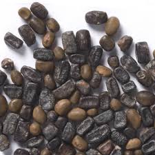 Image result for Indigofera melanadenia