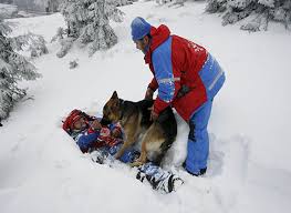 Psy na froncie: Psy RATOWNICY