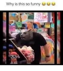 Pin By Janneman Pretorius On Hilarious Video Clips In 2020 Really Funny Memes Crazy Funny Memes Funny Relatable Memes