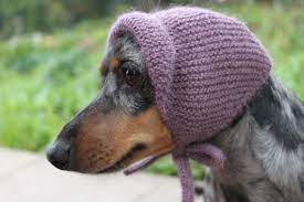Pin On Fun Knitting Projects
