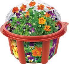 Edible offal (mammalian) edible offal is the edible tissues and organs other than muscles and animal fat from slaughtered animals as prepared for wholesale or retail distribution. Edible Flowers Garden Multi Colored Walmart Com Walmart Com